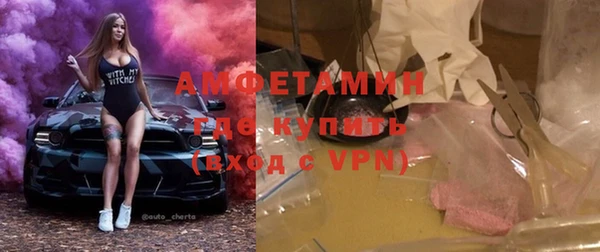 стаф Аркадак