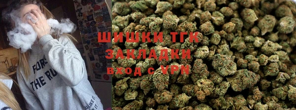 стаф Аркадак